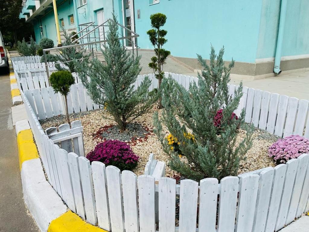 Apartament Summerland Mamaia Nord Exterior photo